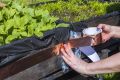 Эффективные методы борьбы со слизнями: советы, которые действительно работают