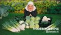 Как добиться крупных и плотных кочанов капусты в августе: секреты успешной подкормки