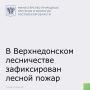 На территории Верхнедонского лесничества зафиксирован лесной пожар