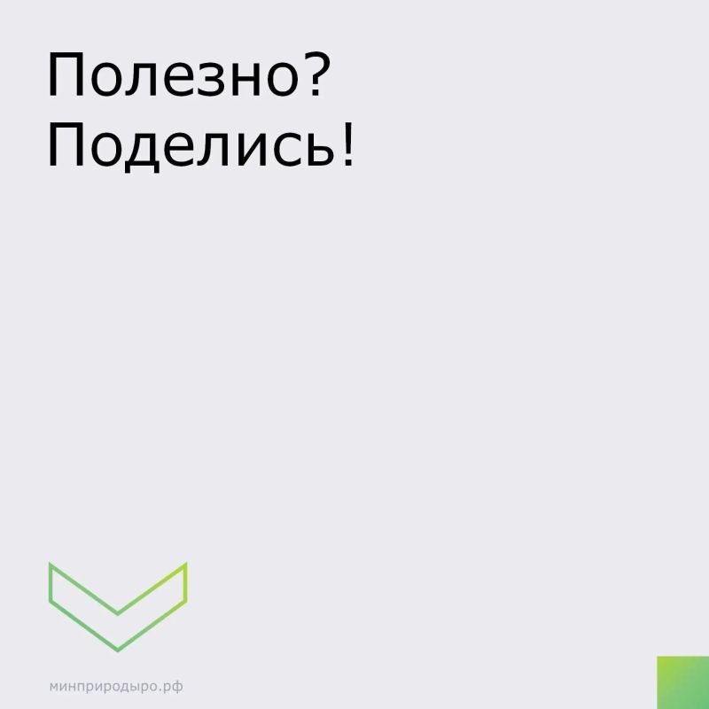 Останови огонь!. Напоминаем, что в настоящее время действует режим ограничения пребывания граждан в донских лесах Останови огонь!. Напоминаем, что в настоящее время действует режим ограничения пребывания граждан в донских лесах