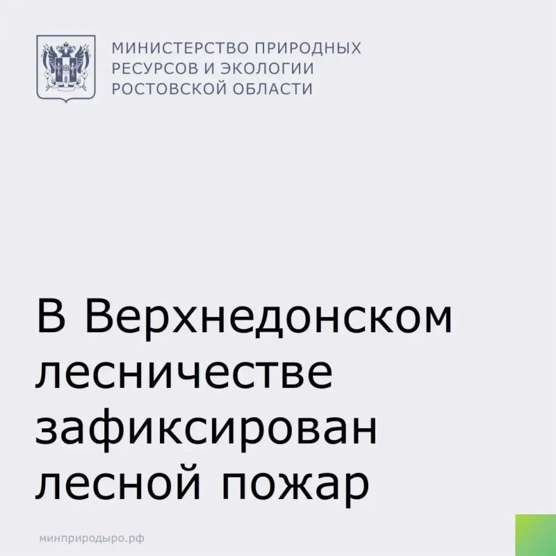 На территории Верхнедонского лесничества зафиксирован лесной пожар