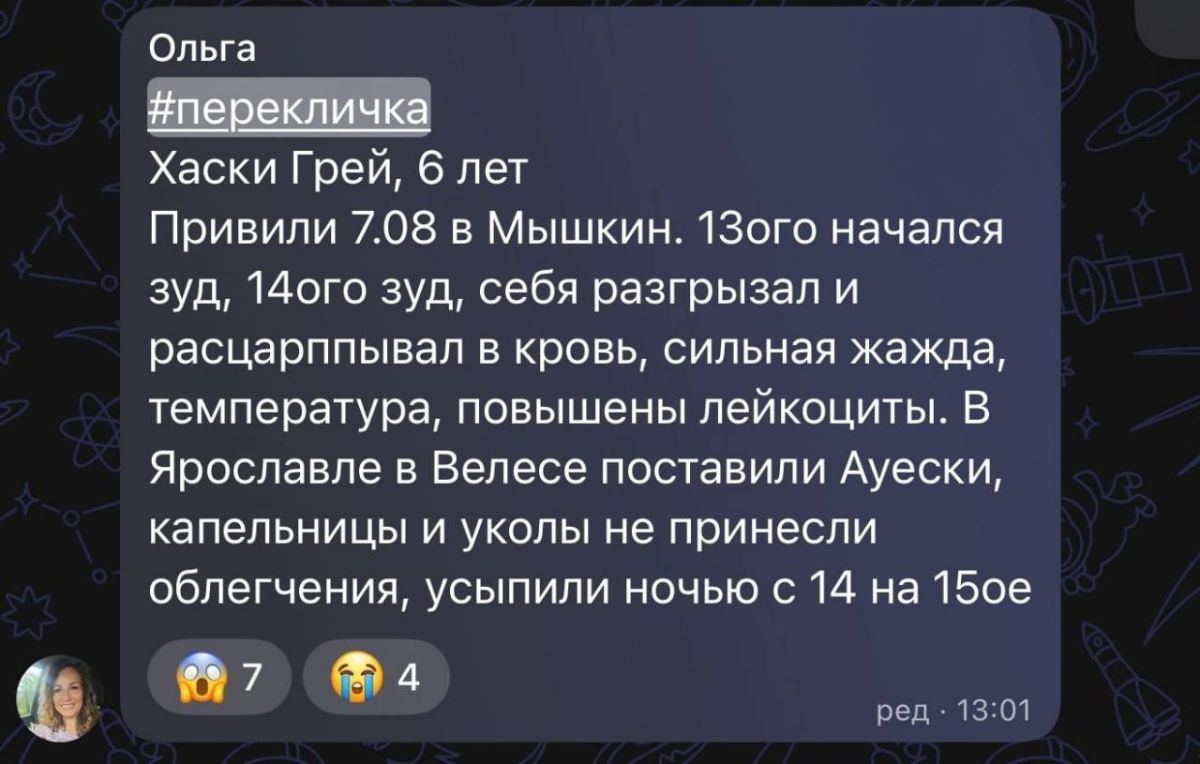 Сотни собак по всей России в тяжелом состоянии после прививки от бешенства «Мультикан-8» Сотни собак по всей России в тяжелом состоянии после прививки от бешенства «Мультикан-8»