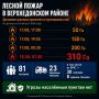Лесной пожар ликвидируют в Верхнедонском районе
