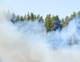 Пожар в Верхнедонском лесничестве удалось локализовать на 358 га