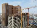 Власти пересмотрят план КРТ на левом берегу Дона и возле Кумженской рощи