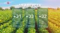 Прогноз погоды в Ростовской области на 19 августа