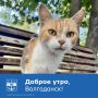 Доброе утро, волгодонцы.. Желаем продуктивного дня и успешного решения всех поставленных задач