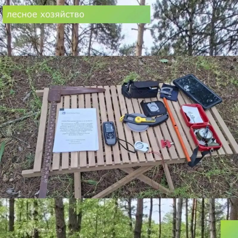 Обновление лесов или как в Ростовской области продолжается отвод и таксация лесосек Обновление лесов или как в Ростовской области продолжается отвод и таксация лесосек