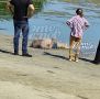 Тело мужчины обнаружили в воде у Кумженской рощи в Ростове