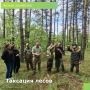 Обновление лесов или как в Ростовской области продолжается отвод и таксация лесосек
