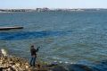 Запасы камбалы-калкана в Азовском море выросли за несколько лет выросла в 145 раз, с 20 тонн до 2,9 тысячи тонн