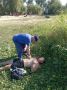 В Азове спасатели помогли мужчине во время эпилептического приступа на берегу Дона