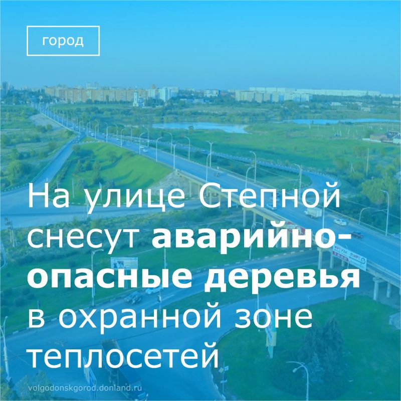 ООО «Волгодонские тепловые сети» произведет снос пяти аварийных деревьев и четырех кустарников у дома № 167 по улице Степной