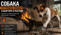 Собака устроила пожар в квартире в Ростове