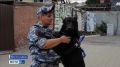 Свой «первый класс»: ученики полицейского класса побывали в гостях у будущих четвероногих напарников