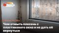 Как эффективно очистить плесень с пластиковых окон и предотвратить её возвращение