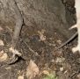 В Волгодонске полицейские пресекли незаконный оборот наркотиков
