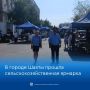 В Шахтах 29 августа на площади прошла сельскохозяйственная ярмарка