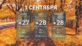 Сухая и тёплая погода ждёт дончан в День знаний