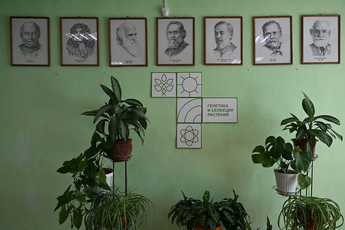 1 сентября - праздник во всей России, в том числе в каждом уголке Ростовской области 1 сентября - праздник во всей России, в том числе в каждом уголке Ростовской области