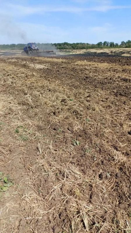 Фермера из Ростовской области оштрафовали на 60 тысяч после падения украинского БПЛА на его поле Фермера из Ростовской области оштрафовали на 60 тысяч после падения украинского БПЛА на его поле