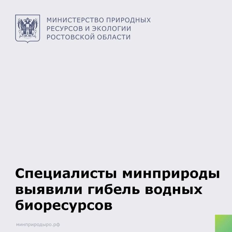 Специалистами минприроды области в результате проведенного выездного обследования зафиксирован замор рыбы в озере, расположенном в хуторе Ленинаван Мясниковского района