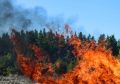 На Дону летом произошло более тысячи природных пожаров