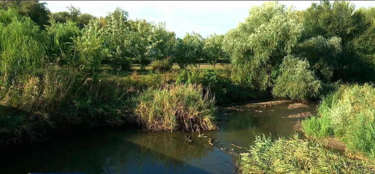 Экоактивисты взяли пробы воды и донного ила в разных частях реки Темерник в Ростове