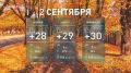 До +30 °C и без осадков: погода в Ростовской области 2 сентября