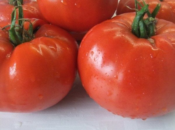 Крупноплодные сорта томатов: когда и как сажать?