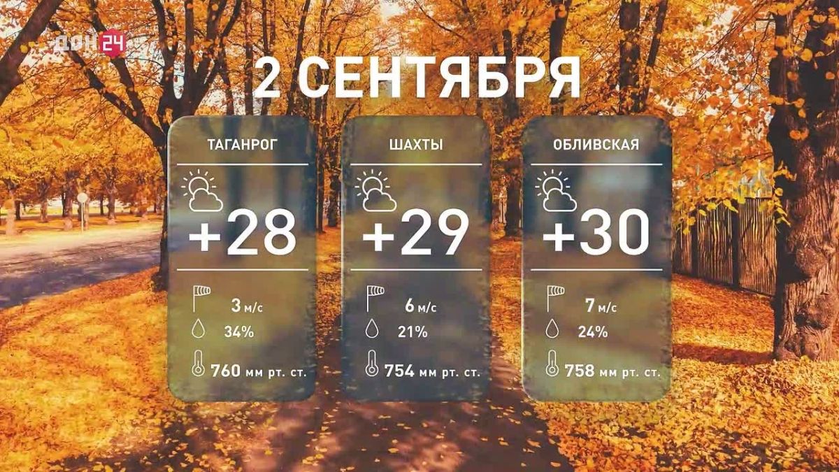 До +30 °C и без осадков: погода в Ростовской области 2 сентября