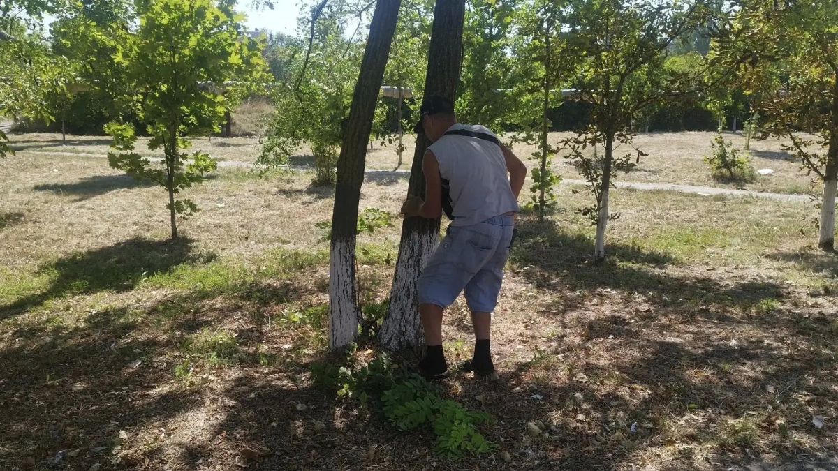 Неждановский территориальный отдел продолжает реализацию мероприятий по благоустройству городских территорий Неждановский территориальный отдел продолжает реализацию мероприятий по благоустройству городских территорий