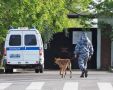 На Дону за август объявили в розыск 125 пропавших