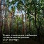 Режим ограничения пребывания граждан и въезда в леса Ростовской области продлен до 24 сентября для обеспечения пожарной безопасности