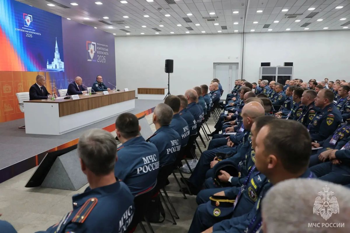 Надзорная деятельность МЧС России: актуальные вопросы и практические решения Надзорная деятельность МЧС России: актуальные вопросы и практические решения