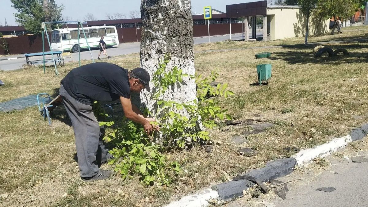 Неждановский территориальный отдел продолжает реализацию мероприятий по благоустройству городских территорий Неждановский территориальный отдел продолжает реализацию мероприятий по благоустройству городских территорий