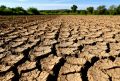 Ростов пережил рекордно сухой август за 35 лет