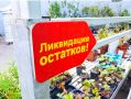 Саженцы по цене не слишком – что действительно стоит покупать в сезон распродаж