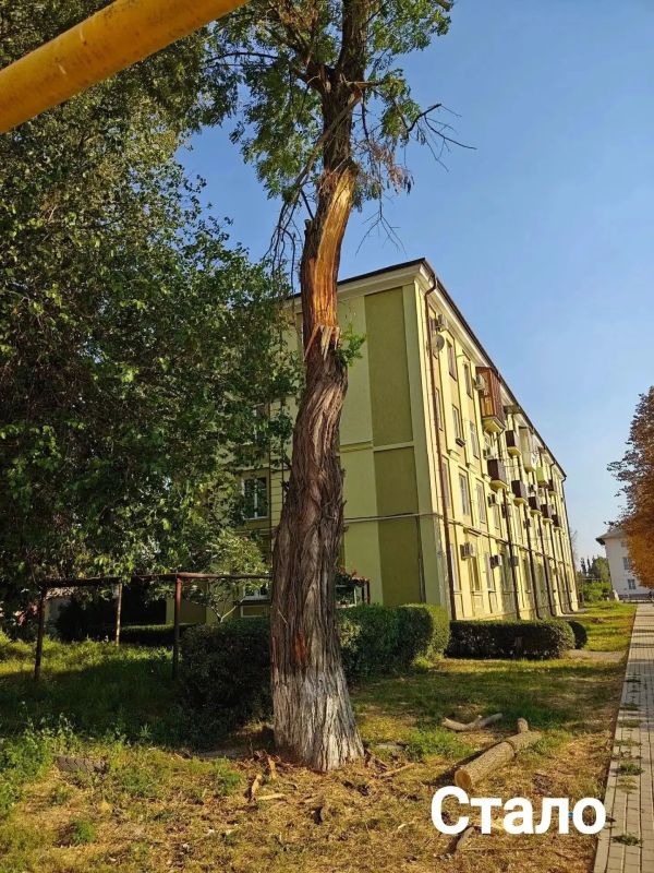 Порядок в городе — дело общее: о благоустройстве в посёлке Майский Порядок в городе — дело общее: о благоустройстве в посёлке Майский