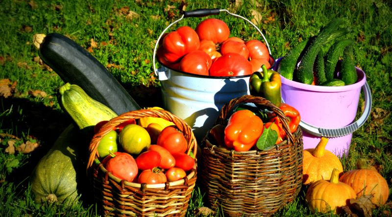 Сохранение свежести урожая: советы и методы