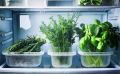 Новые секреты хранения зелени: продлите свежесть до недели
