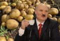Как найти настоящий вкус картошки: о проблемах и находках на рынке