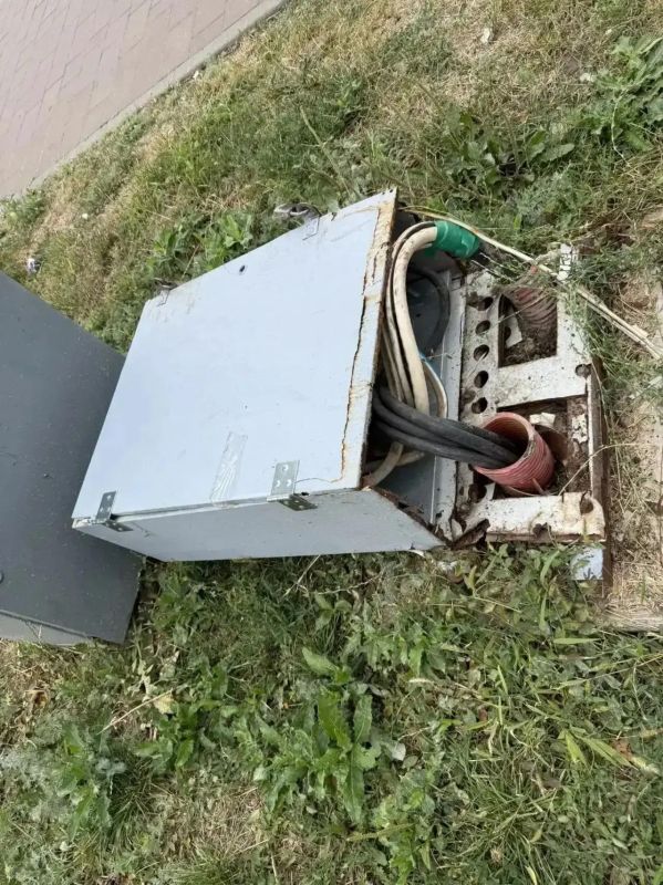 В Александровском парке устраняют последствия вандализма В Александровском парке устраняют последствия вандализма