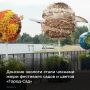 Донские экологи-члены делегации Ростовской области вошли в жюри Международного фестиваля садов и цветов «Город-Сад» в Воронеже, который прошел в рамках программы «Содружество «Донбасс» объединяя темы единства народов России...