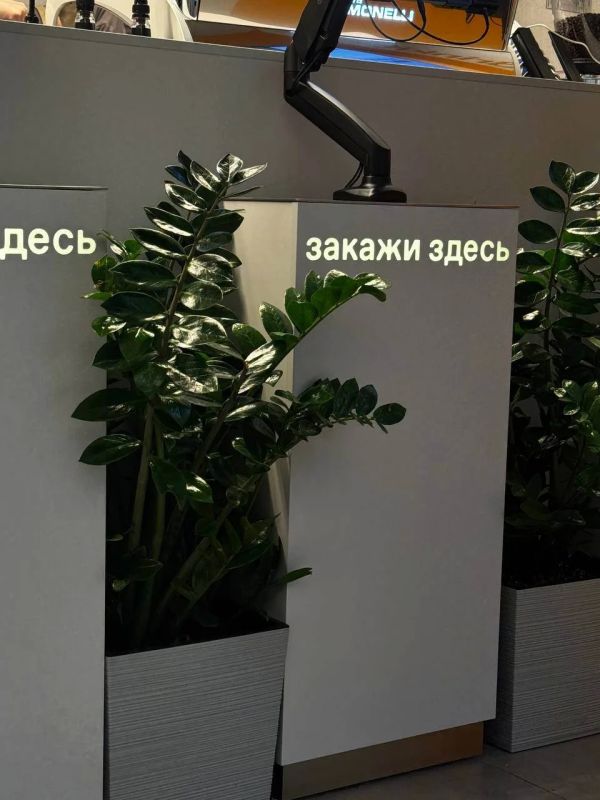 Ростов-на-Дону в зелёных цветах Ростов-на-Дону в зелёных цветах
