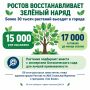 Более 30 тыс. растений высадят в Ростове после июльского урагана