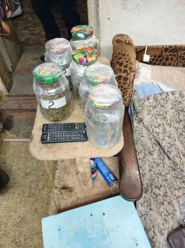 В Таганроге пресечена попытка сбыта наркотиков: правоохранители изъяли более 1,5 килограммов каннабиса В Таганроге пресечена попытка сбыта наркотиков: правоохранители изъяли более 1,5 килограммов каннабиса