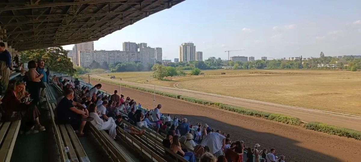 Сегодня на ростовском ипподроме проходят скачки Сегодня на ростовском ипподроме проходят скачки