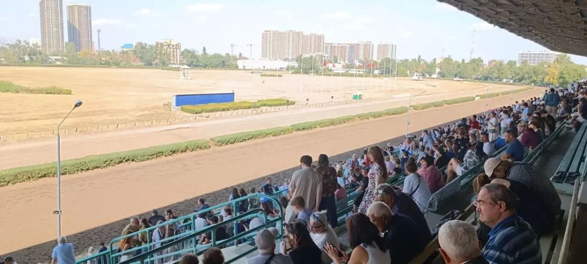Сегодня на ростовском ипподроме проходят скачки Сегодня на ростовском ипподроме проходят скачки