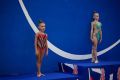 ��������� ��������� � ����� ������� ������������� ������������ � ���������